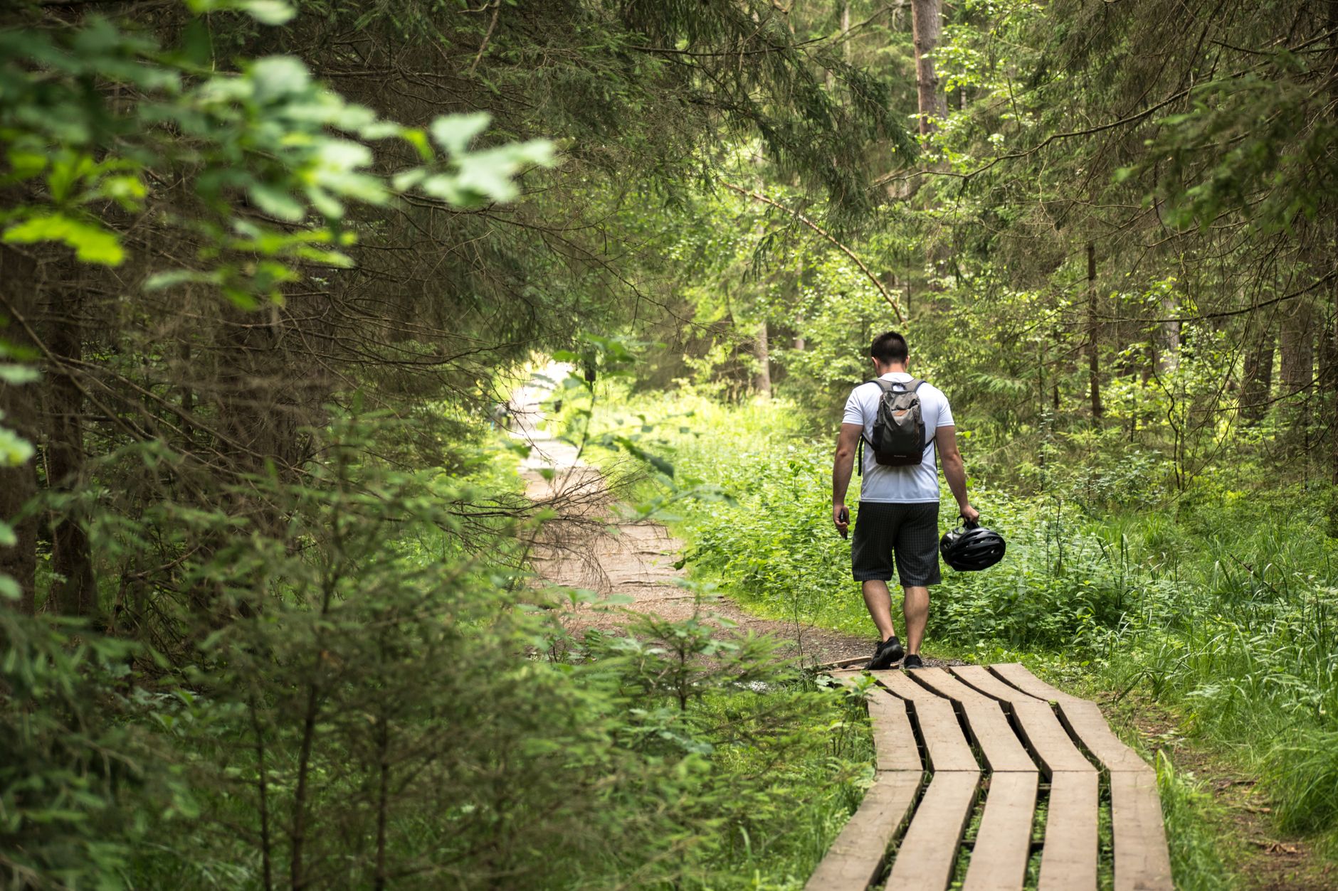 Person geht über einen Bohlenweg durch dichten grünen Wald