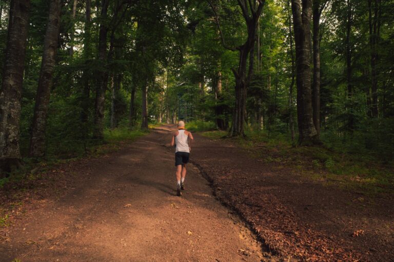 Läufer von hinten auf einem sommerlichen Waldweg